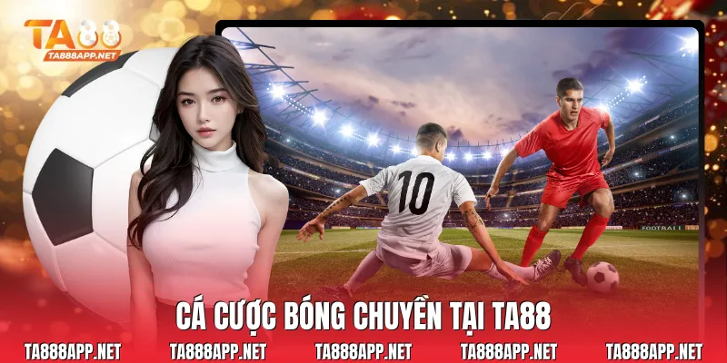 Cá cược bóng chuyền tại Ta88