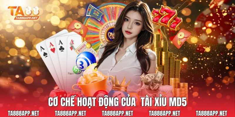Cơ chế hoạt động của tài xỉu md5