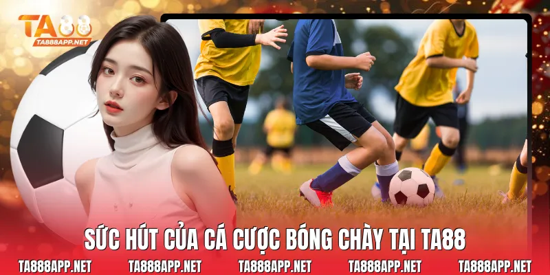 Sức hút của cá cược bóng chày tại Ta88