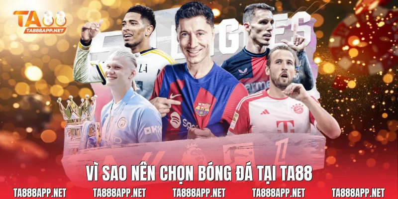 Vì sao nên chọn bóng đá tại Ta88